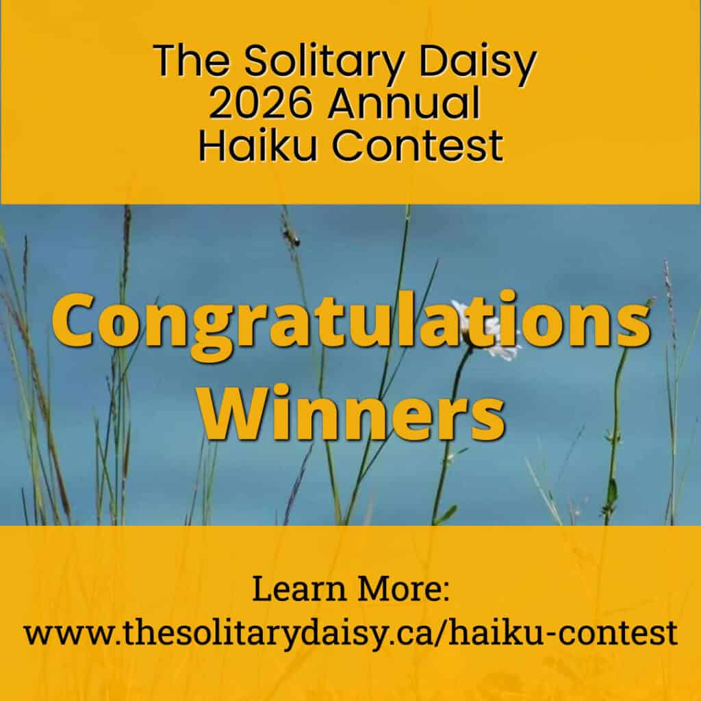 A graphic announces the winners of The Solitary Daisy 2026 Annual Haiku Contest, with a background of grass and daisies against a blue sky. Website link provided to learn more.