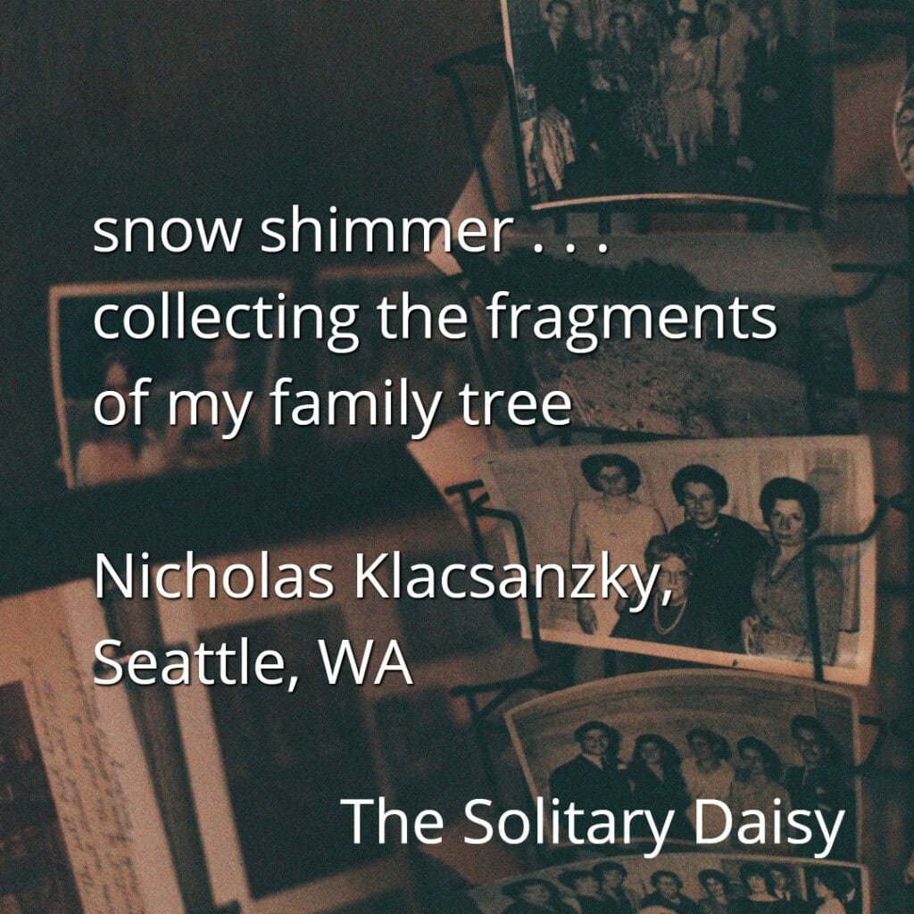 Vintage family photographs are displayed on a rack, overlaid with a haiku by Nicholas Klacsanzky titled "The Solitary Daisy" and his location, Seattle, WA.