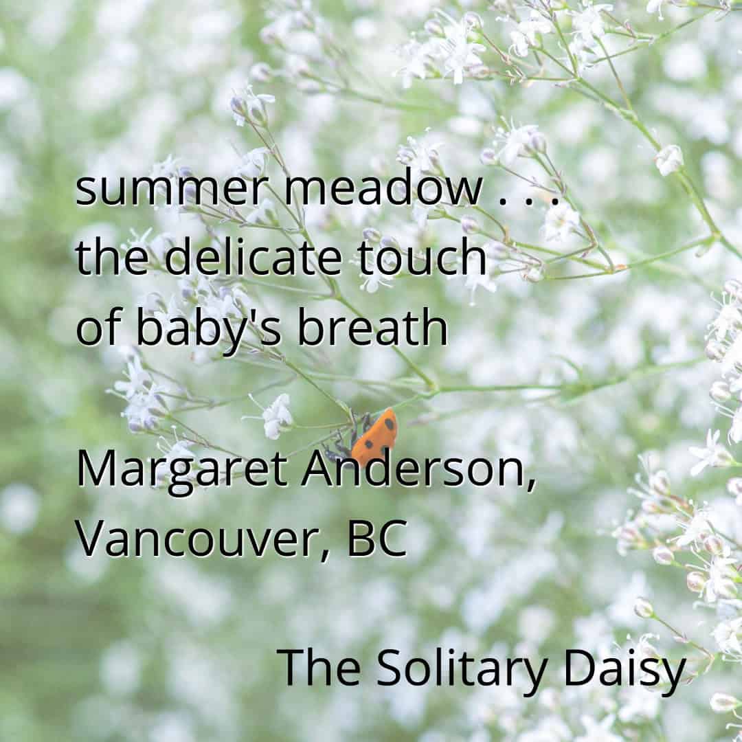 A ladybug rests on baby's breath flowers in a summer meadow, with a poem by Margaret Anderson overlaid on the image.
