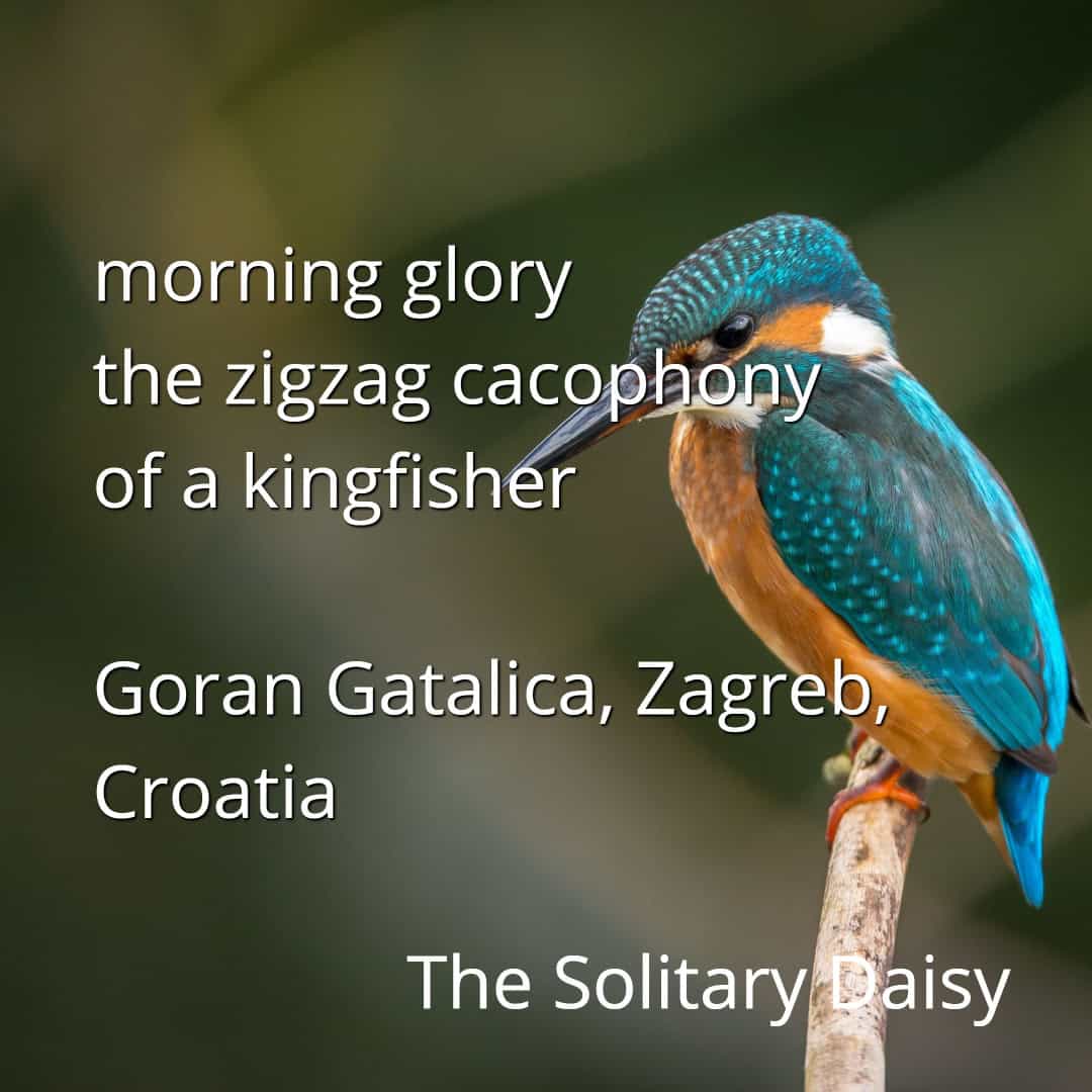A vibrant kingfisher perches on a branch with text overlay featuring a poem and attribution to Goran Gatalica, Zagreb, Croatia.
