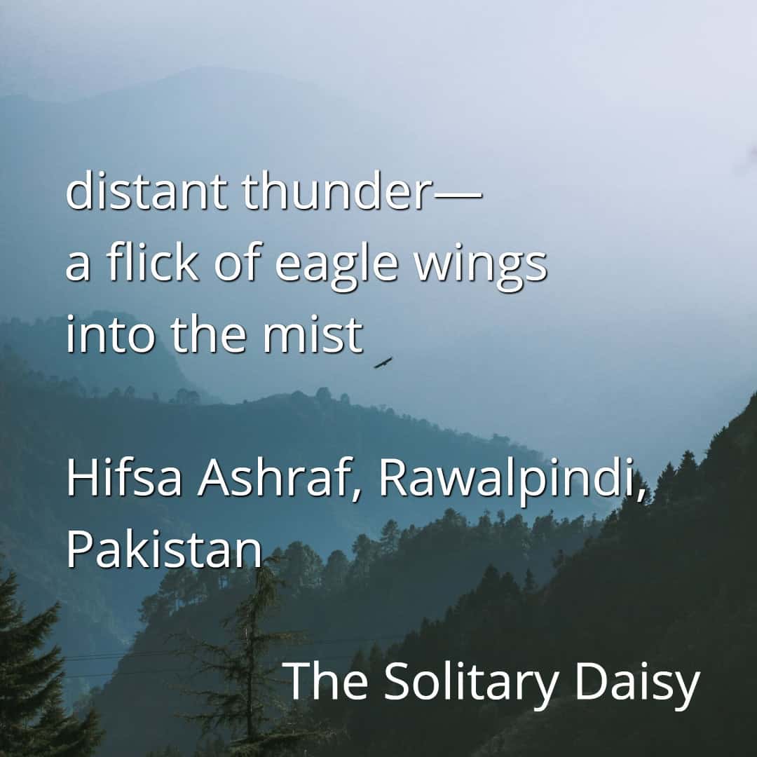 A distant eagle flies through misty blue mountains with a haiku by Hifsa Ashraf, Rawalpindi, Pakistan, overlaid on the image.