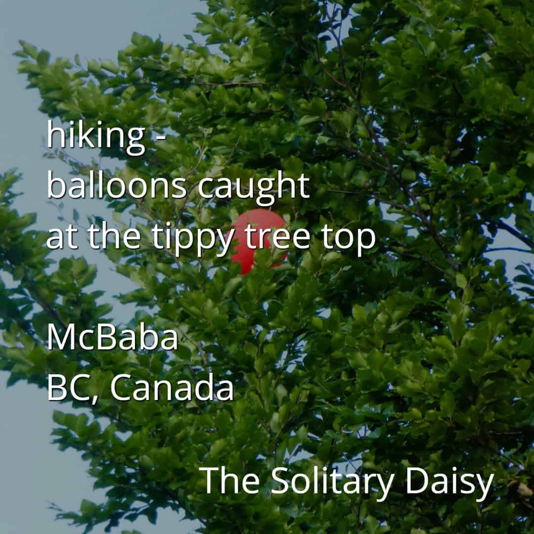 A red balloon is caught in the upper branches of a leafy green tree. Text on the image indicates the location as McBaba, BC, Canada.