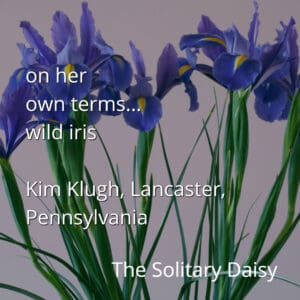 Several purple wild iris flowers with green stems and leaves against a light background. Text overlays identify the species and photographer.