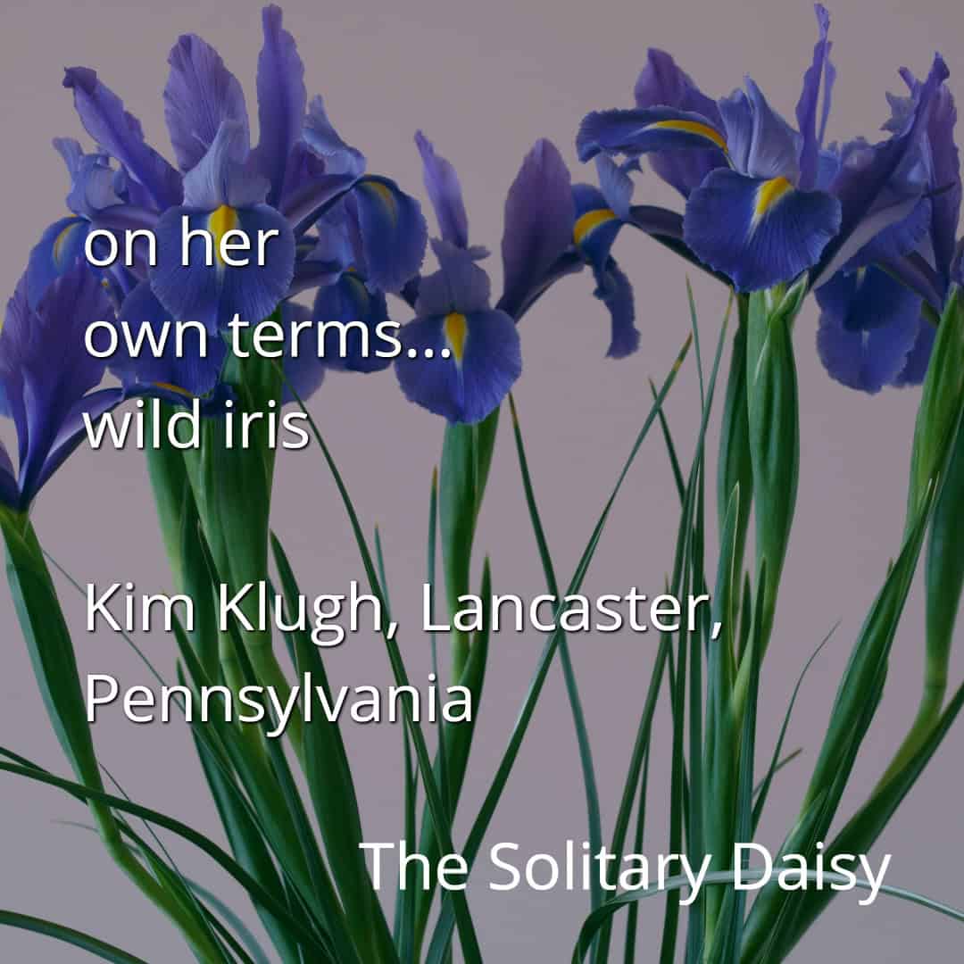 Several purple wild iris flowers with green stems and leaves against a light background. Text overlays identify the species and photographer.