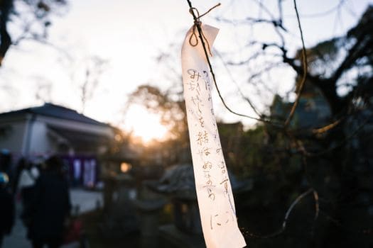Omikuji tied on a tree branch in a serene Kyoto shrine at sunset, symbolizing hope and fortune.