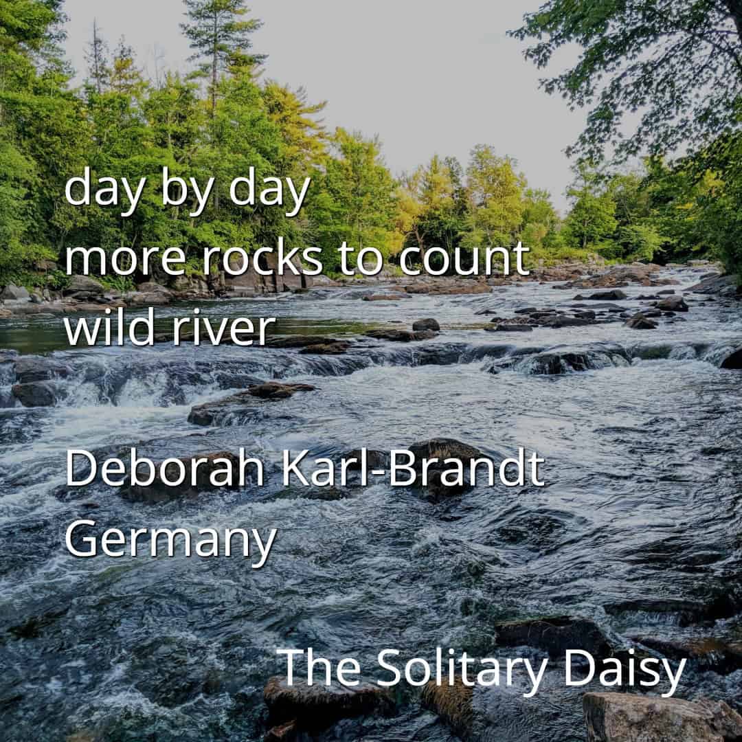 A rocky river flows through a forest under a partly cloudy sky. Text over the image displays a haiku and credits to Deborah Karl-Brandt and "The Solitary Daisy.
