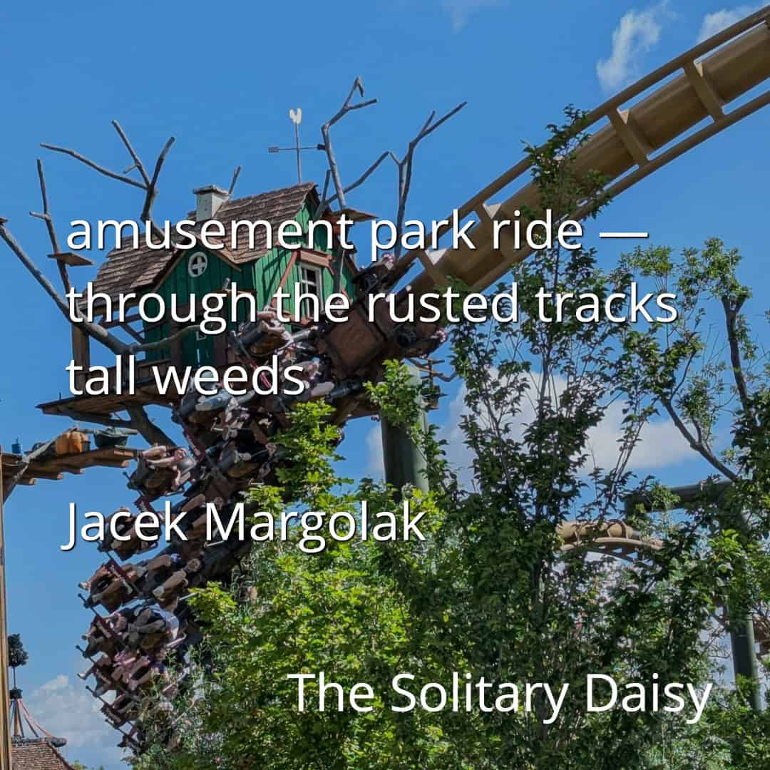 Roller coaster cars pass a whimsical, treehouse-themed structure, partially obscured by leafy branches under a blue sky. Text overlays part of the image.