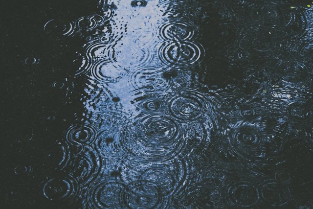 Raindrops create circular ripples on the surface of a dark, reflective body of water.