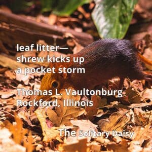 A small shrew scurries through brown leaf litter on a forest floor, with a nature-themed poem overlaid in white text.