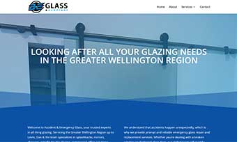 accidentandemergencyglass.co.nz