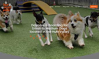 foursmallpaws.co.nz