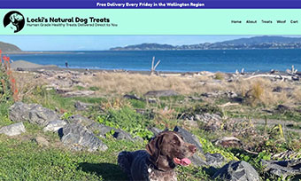 lockisnaturaldogtreats.co.nz