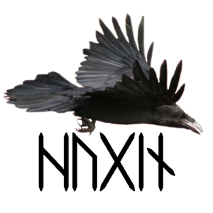 huginn and muninn runes