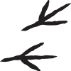 footprint-clipart-bird-5