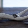 silver moose ring