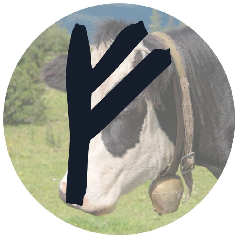 fehu rune meaning