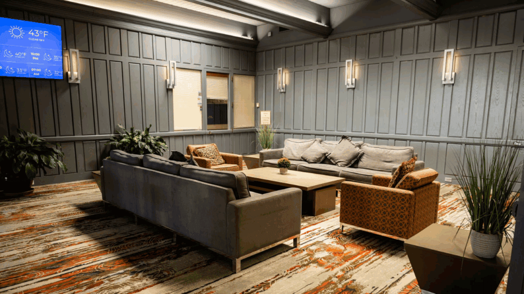 A space with couches, plants and a television Gallery Image