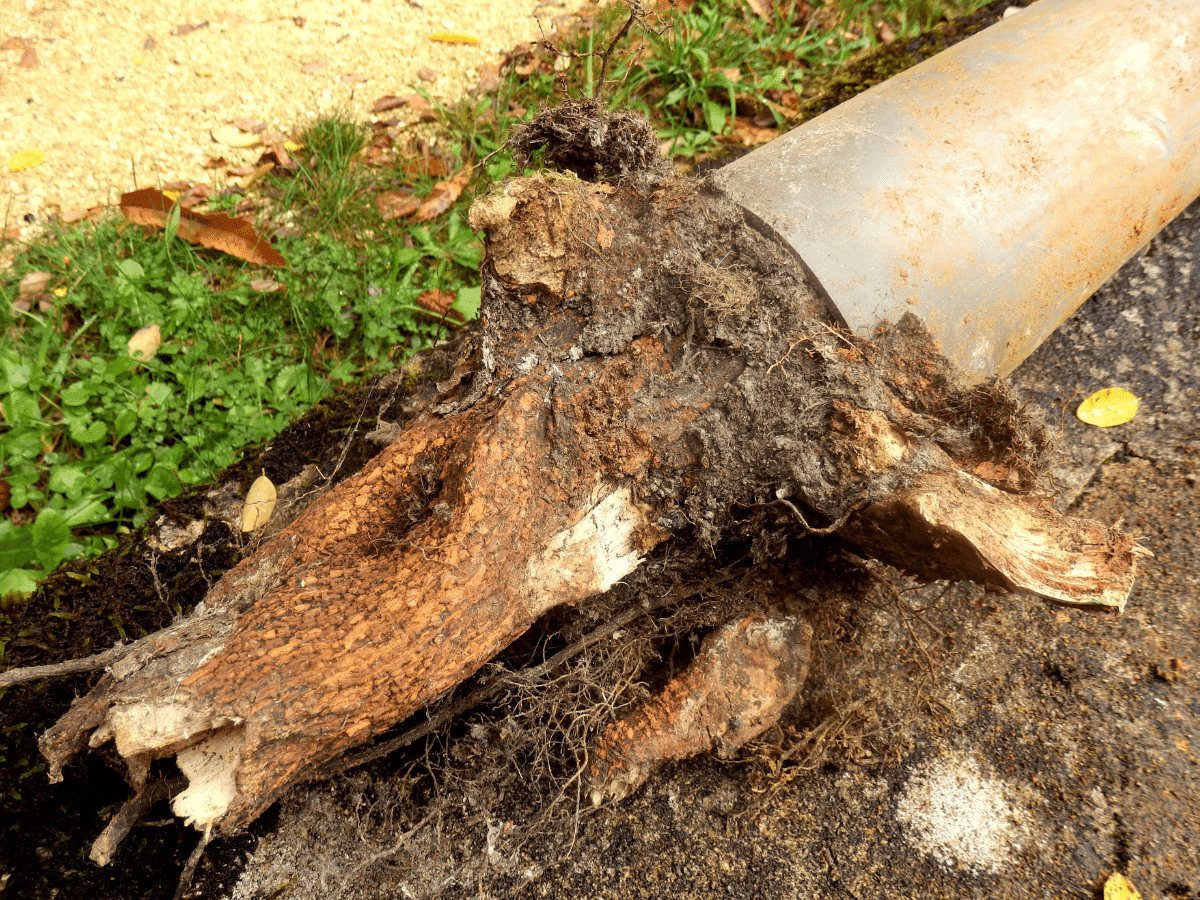 Hydro jetting pipe cleaning process with high-pressure water.
