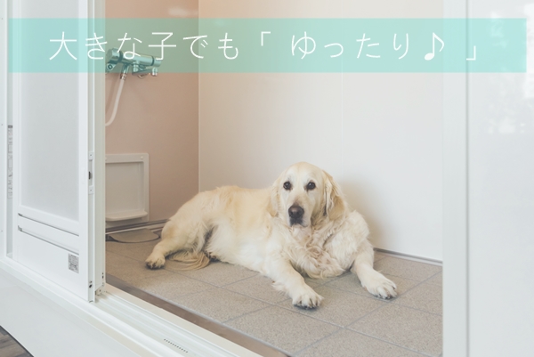 ドッグシャワールーム