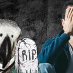 In Memory of African Grey