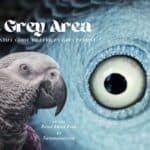 The Grey Area African Grey Parrot Ebook