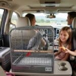 Family traveling with an African Grey Parrot in a car carrier.