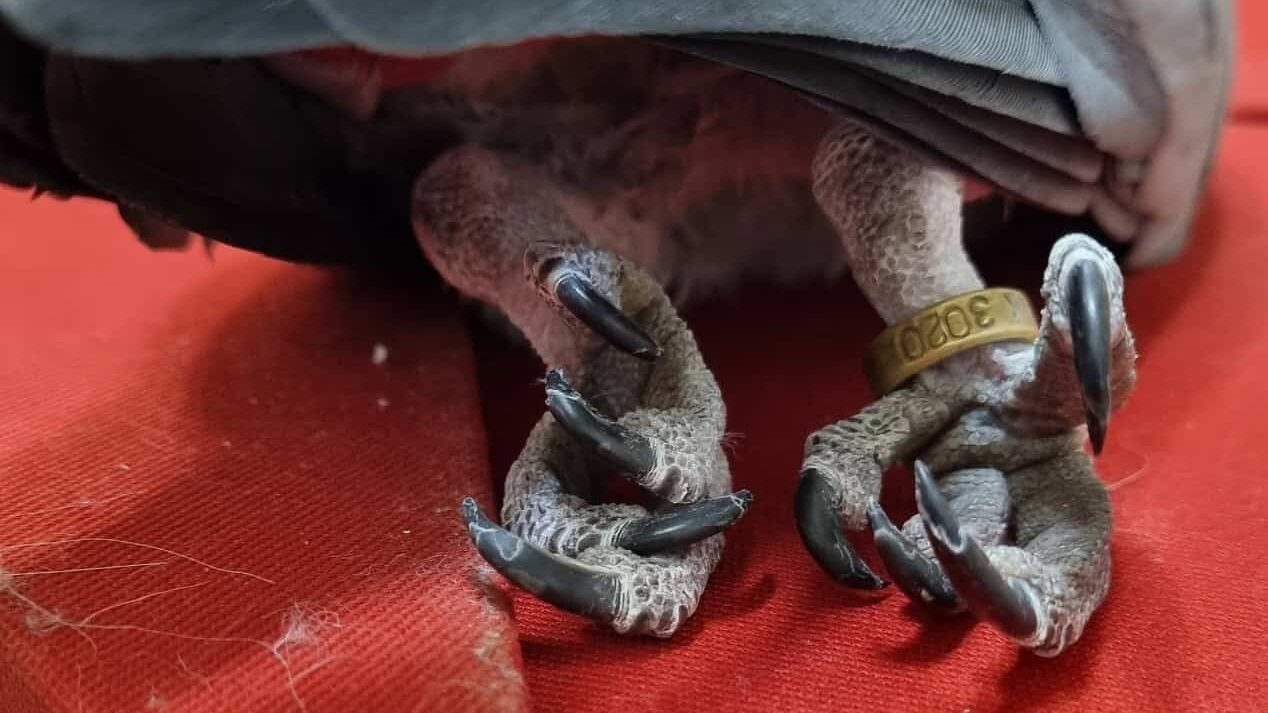 -3
