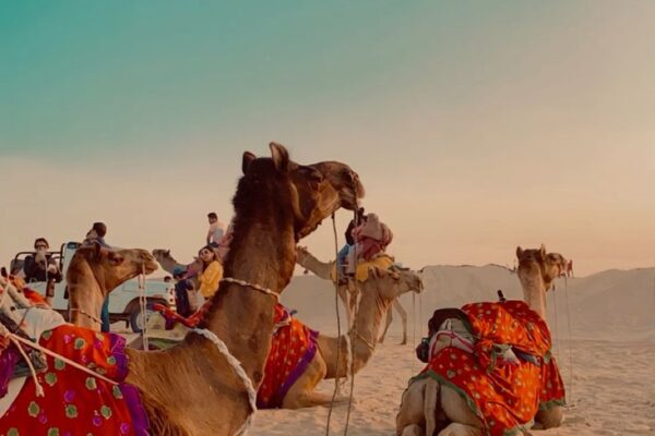 L’inde du Nord et Sud en Ciruit