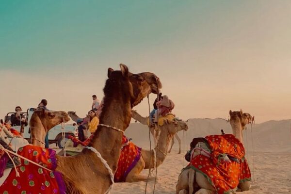 Le Luxe et Les Palais du Nord