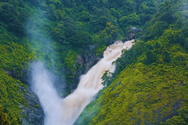 Circuit Croisière sur les Backwaters au Kerala