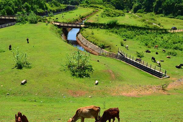 Une idée du paradis : Karnataka & Kerala
