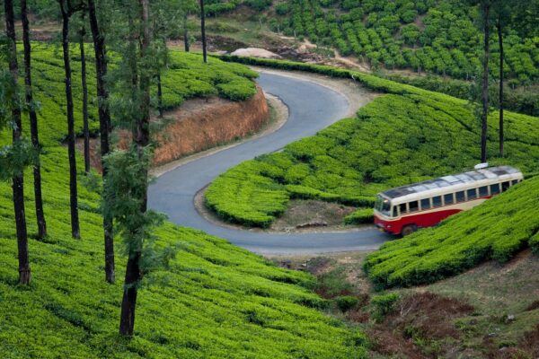 Circuit Croisière sur les Backwaters au Kerala