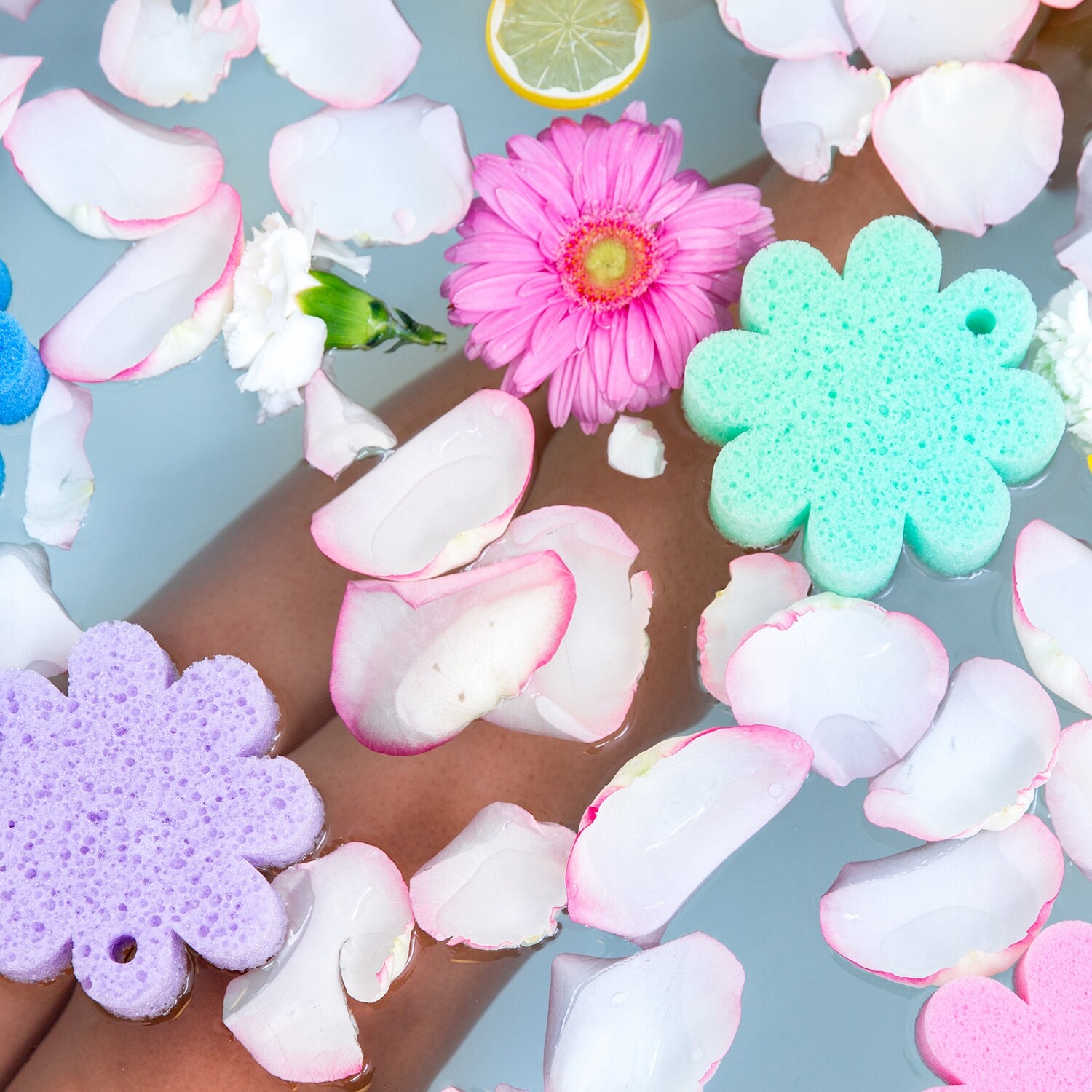 Spongellé Wild Flower French Lavender - Image 4