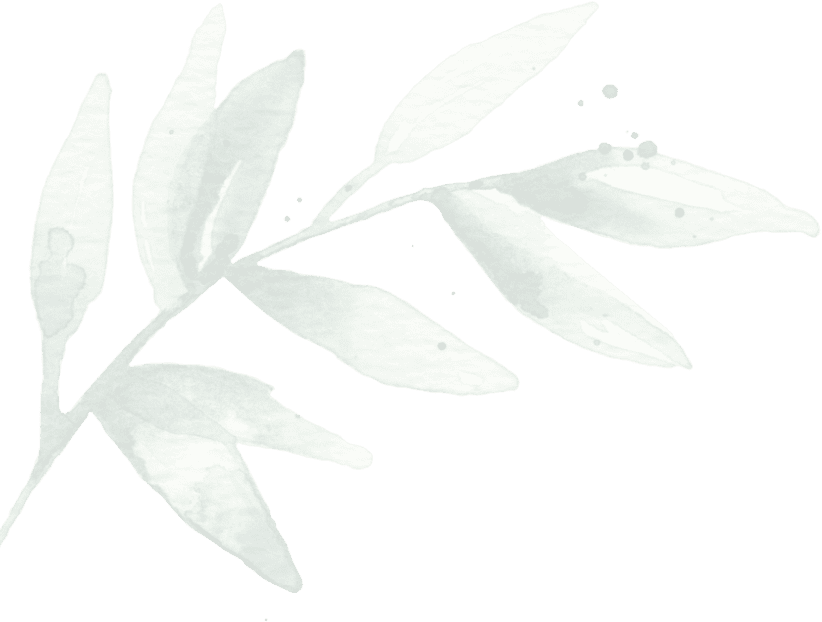 Relaxing spa leaf with calming green tones for wellness and tranquility.