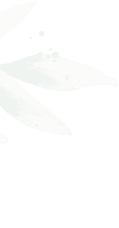 Tranquil spa treatment room with relaxing ambiance and soothing decor.