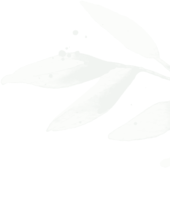 Relaxing spa treatment for ultimate relaxation and rejuvenation at Tonic Day Spa. Experience luxury.