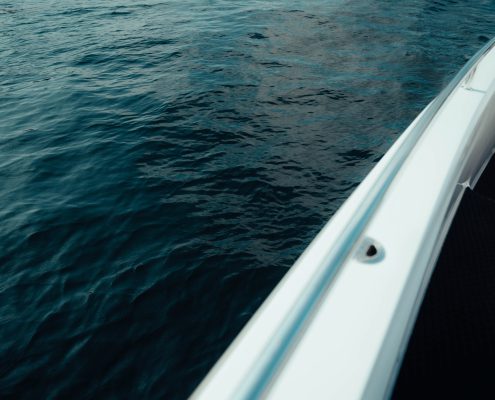 Vessel on deep blue fjord water with shoreline visible in the background.