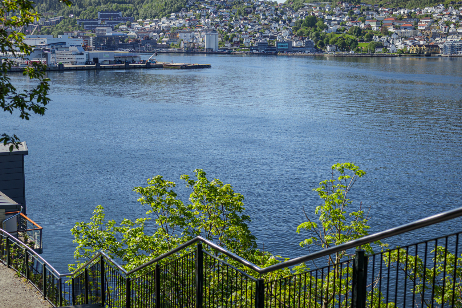 Stunning fjord view in Norway with lush greenery and cityscape in the background, perfect for exploring the best fjord tours.