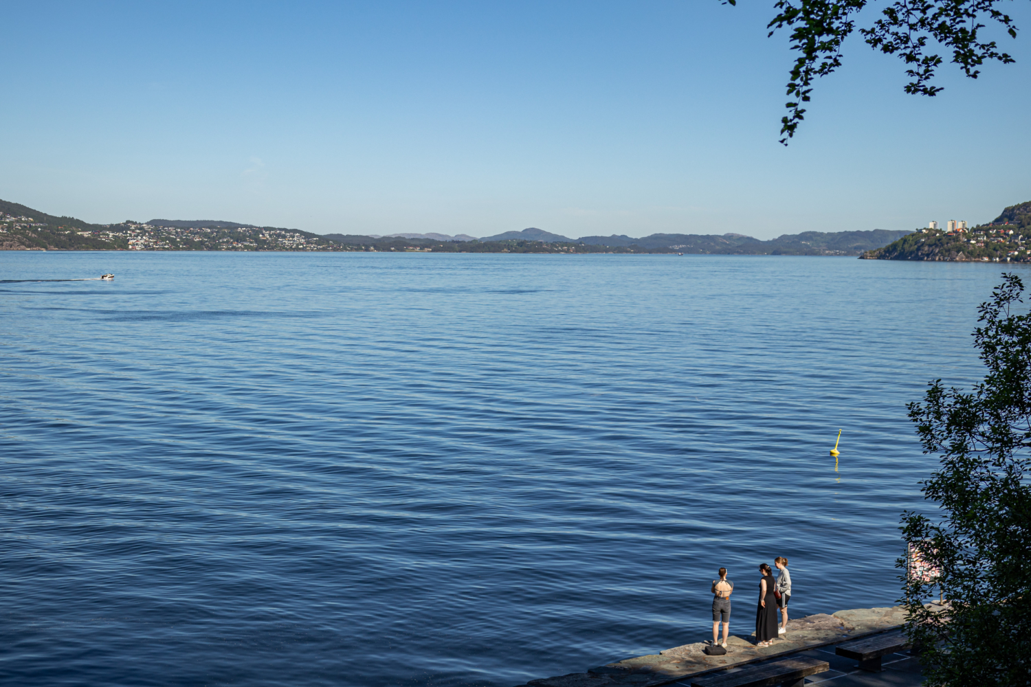 Serene fjord landscape in Norway with calm blue waters and distant mountains.