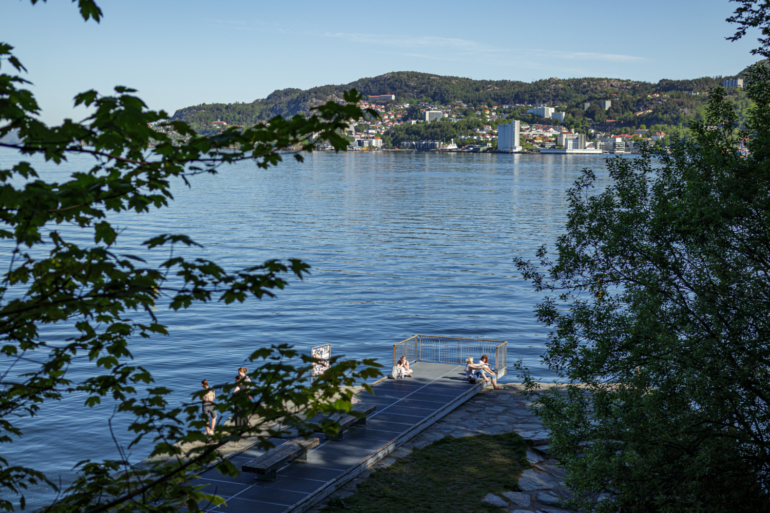 Serene fjord view with a city skyline, lush greenery, and clear water in Norway.