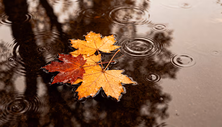 الخطوط التونسية تدخل اللجنة التنفيذية للاتحاد العربي للنقل الجوي