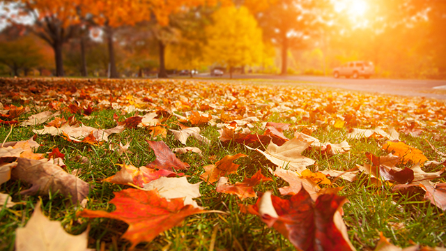 توقعات الطقس في تونس الإثنين 3 نوفمبر: أمطار وعواصف رعدية شمالًا