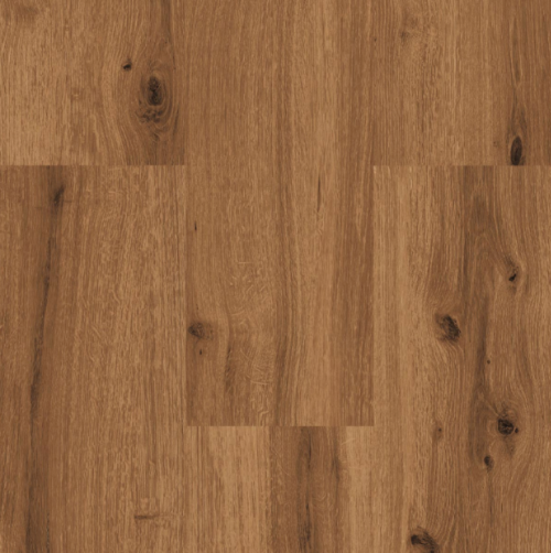 Donker-Eiken-PPC09908