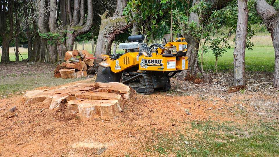 We can do any job - big or small!