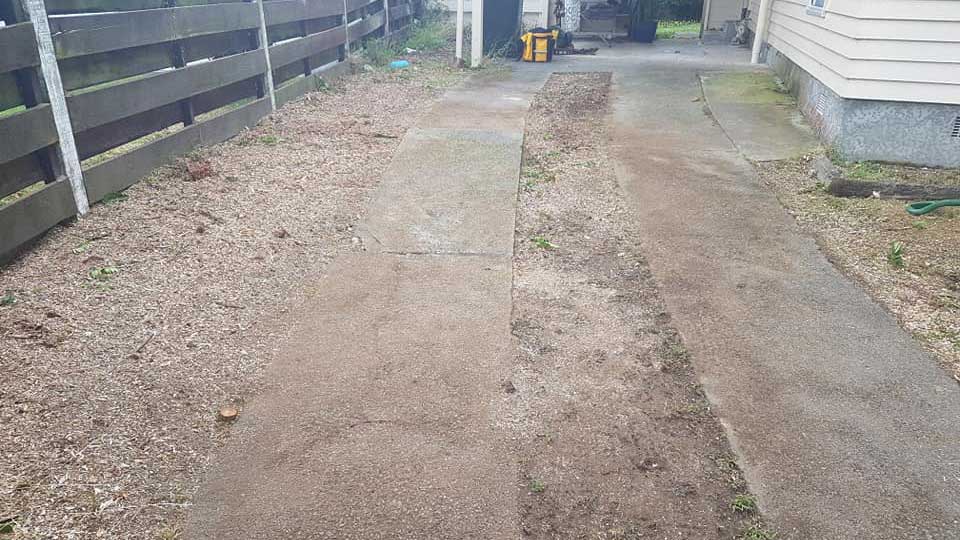 We can take care of trees and roots near or under a driveway