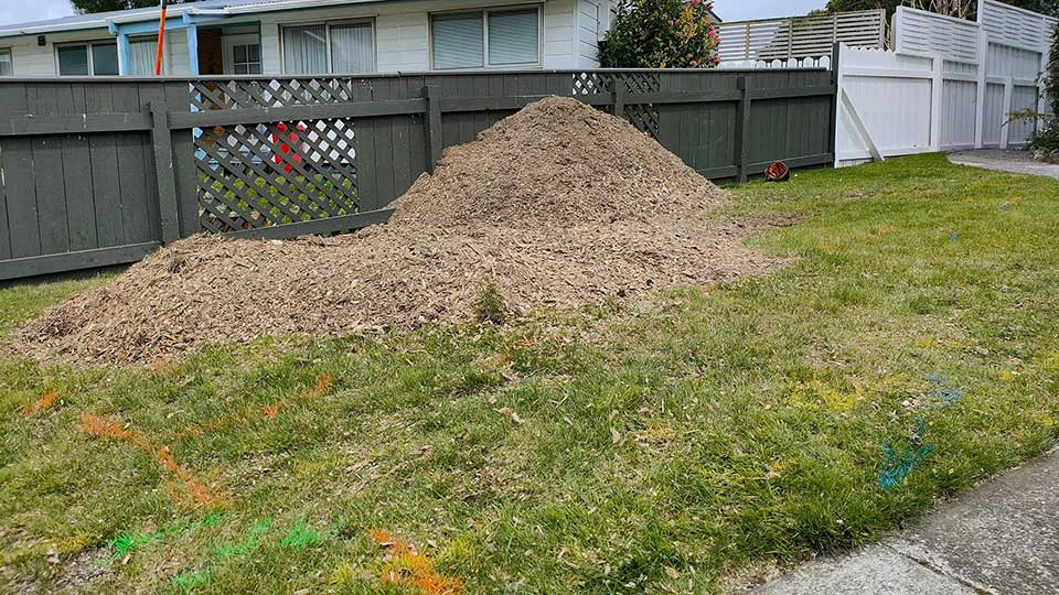 We can remove stumps near services such as gas, water and power safely