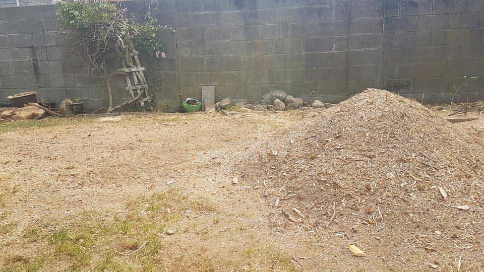 We can remove trees and stumps following storm damage