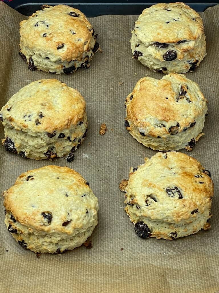 Six scones baked and lightly golden on baking tray.