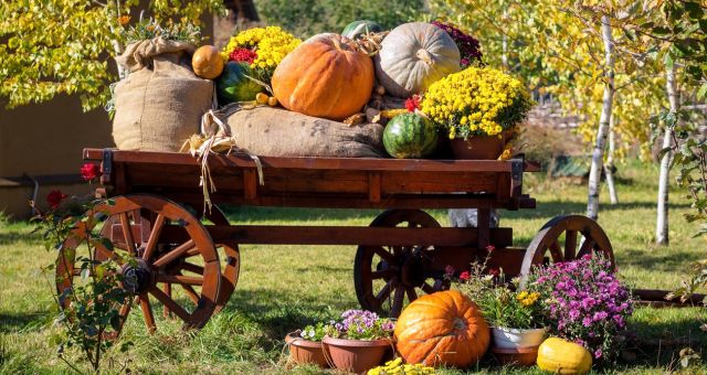 Canva image of a cart filled with harvest pumpkins and sacks of veggies with pumpkins and plants on the grass, trees in background.