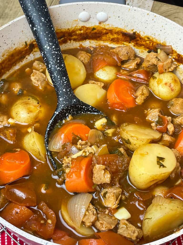 vegan Warwickshire beef and tomato stew ready to serve with black soup ladle.
